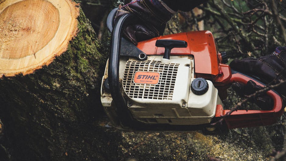 Stump Grinding service — Washington Township NJ