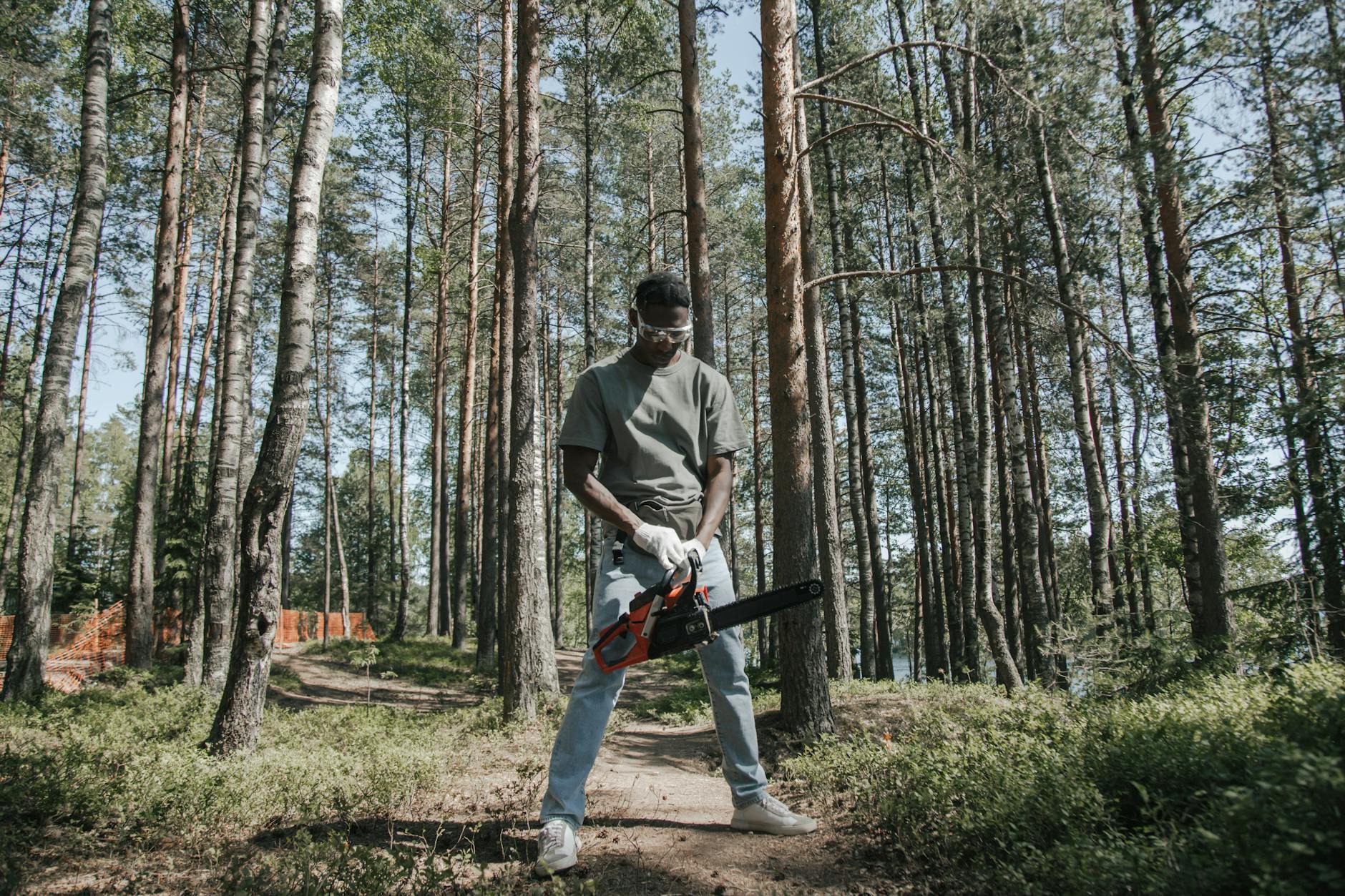Tree Removal in Washington Township, NJ — Washington Township NJ