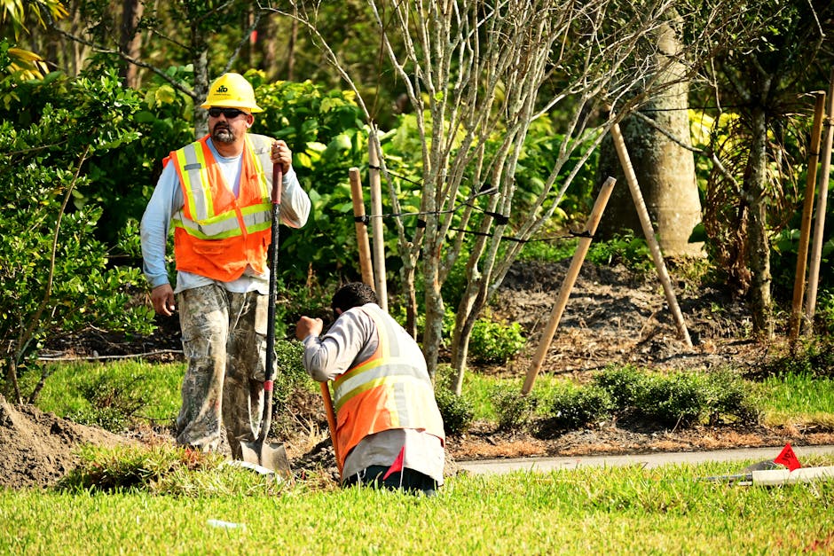 Certified arborist performing tree service in Washington Township NJ